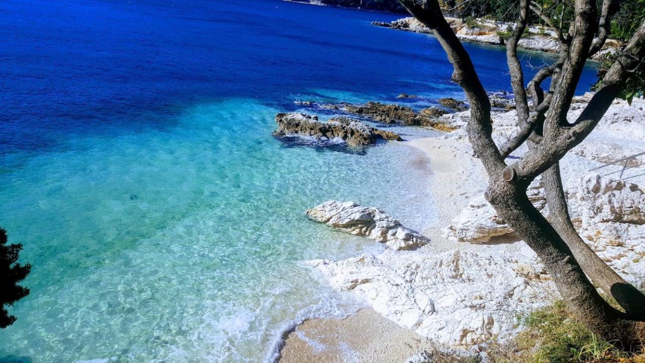 Apartament Haus Roko Rovinj Zewnętrze zdjęcie