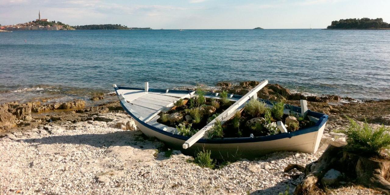 Apartament Haus Roko Rovinj Zewnętrze zdjęcie